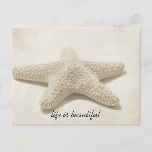 Starfish Postkarte (Vorderseite)
