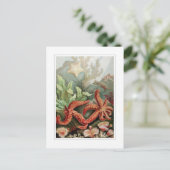 Starfish Postkarte (Stehend Vorderseite)
