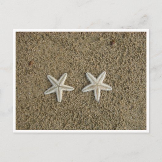 STARFISH POSTKARTE (Vorderseite)