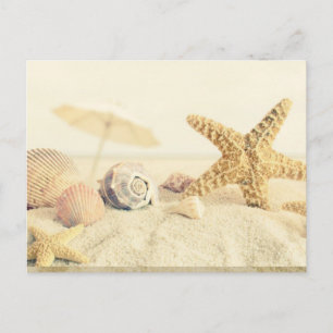 Starfish Postkarte