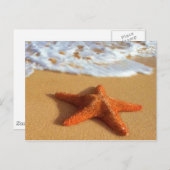 Starfish Postkarte (Vorne/Hinten)