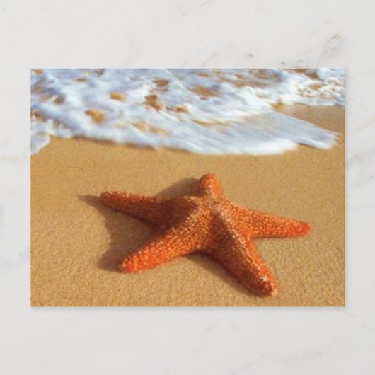 Starfish Postkarte (Vorderseite)