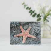 Starfish Postkarte (Stehend Vorderseite)