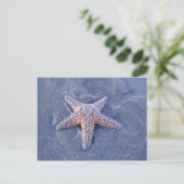 Starfish Postkarte (Stehend Vorderseite)