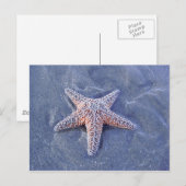 Starfish Postkarte (Vorne/Hinten)