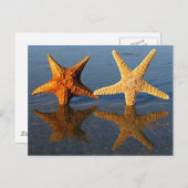 Starfish Reflektionspostkarte Postkarte (Vorne/Hinten)