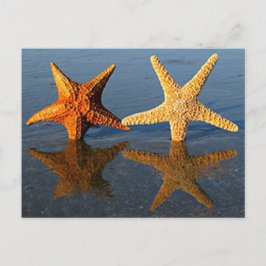 Starfish Reflektionspostkarte Postkarte