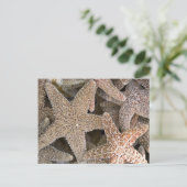 Starfish rund um die Postkarte (Stehend Vorderseite)