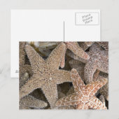 Starfish rund um die Postkarte (Vorne/Hinten)