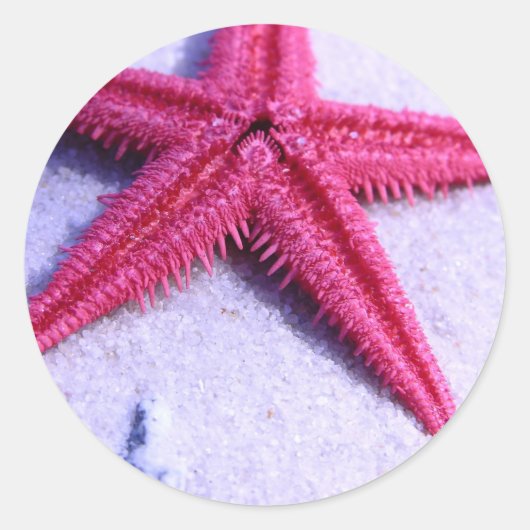 Starfish Runder Aufkleber (Vorderseite)