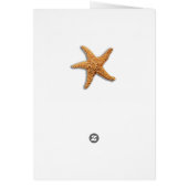 Starfish Rustic Beach Board Nautic (Hinten)