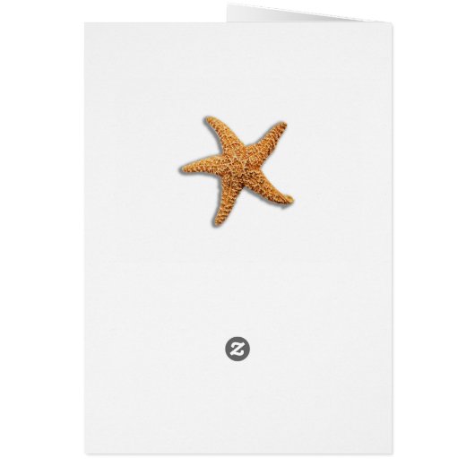 Starfish Rustic Beach Board Nautic (Hinten)