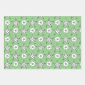 Starfish Sand Dollar Sketch Muster Grün Geschenkpapier Set (Vorderseite 3)