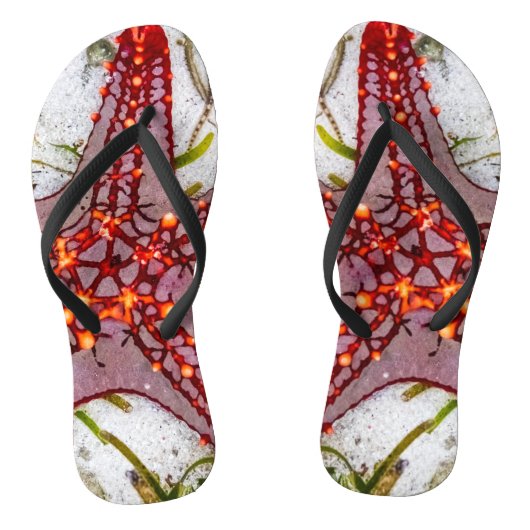 Starfish, Sansibar, Tansania Badesandalen (Fußbett)