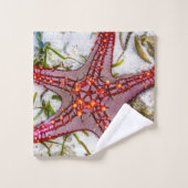 Starfish, Sansibar, Tansania Badhandtuch Set (Waschlappen)