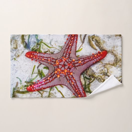 Starfish, Sansibar, Tansania Badhandtuch Set (Handtuch)