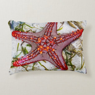 Starfish, Sansibar, Tansania Dekokissen