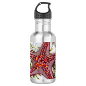 Starfish, Sansibar, Tansania Edelstahlflasche (Vorderseite)