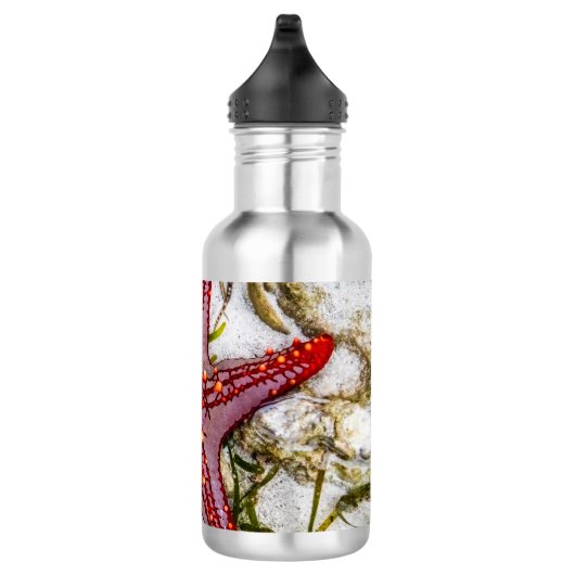 Starfish, Sansibar, Tansania Edelstahlflasche (Rechts)