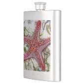 Starfish, Sansibar, Tansania Flachmann (Links)