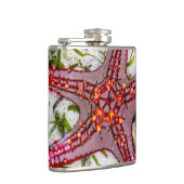 Starfish, Sansibar, Tansania Flachmann (Rechts)