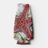 Starfish, Sansibar, Tansania Flaschenkühler (Vorderseite)