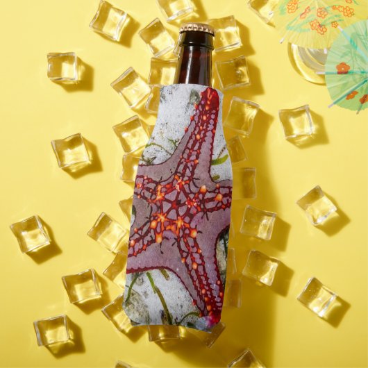 Starfish, Sansibar, Tansania Flaschenkühler (In Situ Sommer)