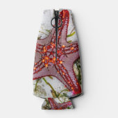Starfish, Sansibar, Tansania Flaschenkühler (Rückseite)