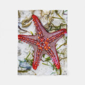 Starfish, Sansibar, Tansania Fleecedecke (Vorderseite)