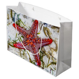 Starfish, Sansibar, Tansania Große Geschenktüte
