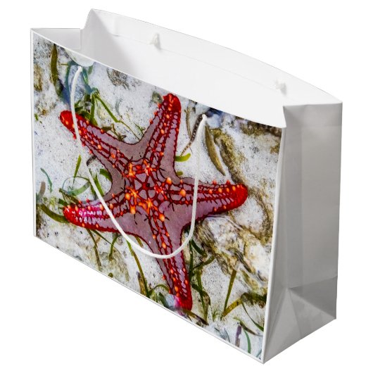 Starfish, Sansibar, Tansania Große Geschenktüte (Rückseite Schrägansicht)