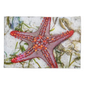 Starfish, Sansibar, Tansania Kissenbezug (Rückseite)