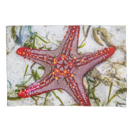 Starfish, Sansibar, Tansania Kissenbezug
