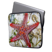 Starfish, Sansibar, Tansania Laptopschutzhülle (Vorderseite Links)