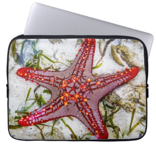 Starfish, Sansibar, Tansania Laptopschutzhülle