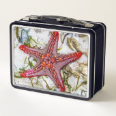 Starfish, Sansibar, Tansania Metall Brotdose (Rückseite)