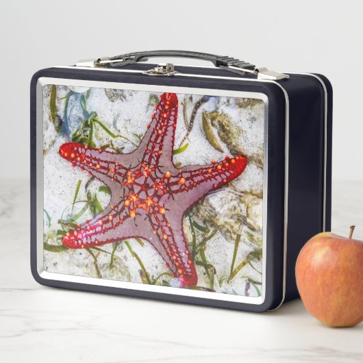 Starfish, Sansibar, Tansania Metall Brotdose (Beispiel)