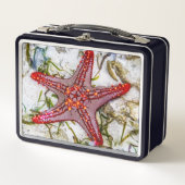 Starfish, Sansibar, Tansania Metall Brotdose (Vorderseite)