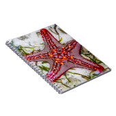 Starfish, Sansibar, Tansania Notizblock (Rechte Seite)
