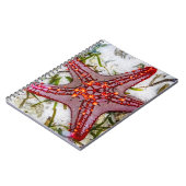 Starfish, Sansibar, Tansania Notizblock (Linke Seite)