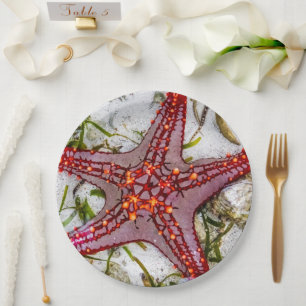 Starfish, Sansibar, Tansania Pappteller