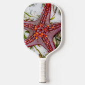 Starfish, Sansibar, Tansania Pickleball Schläger (Vorderseite)