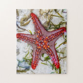 Starfish, Sansibar, Tansania Puzzle (Vertikal)