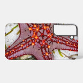 Starfish, Sansibar, Tansania Samsung Galaxy Hülle (Rückseite (Horizontal))