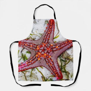 Starfish, Sansibar, Tansania Schürze