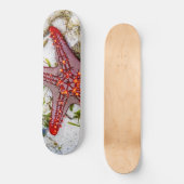 Starfish, Sansibar, Tansania Skateboard (Vorderseite)