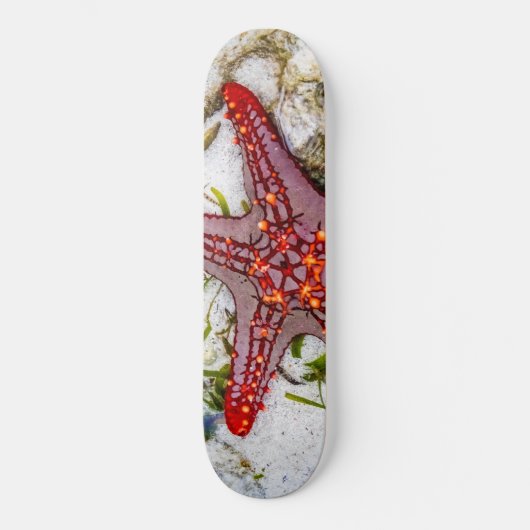 Starfish, Sansibar, Tansania Skateboard (Vorderseite)