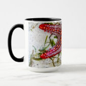 Starfish, Sansibar, Tansania Tasse (Links)