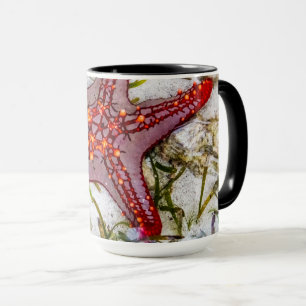 Starfish, Sansibar, Tansania Tasse