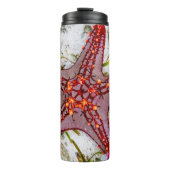 Starfish, Sansibar, Tansania Thermosbecher (Vorderseite)